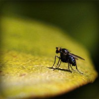 /album/glorespanol/photolia-a07-jpg/