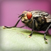 /album/glorespanol/photolia-a08-jpg/